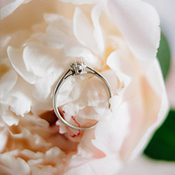 Bridal Wedding Rings Frederick Fisher Jeweler Flagstaff AZ